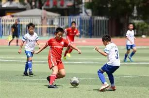 揭秘蓝军谜,马雷斯卡称,小时内孤立,皇冠体育,皇冠体育官网,皇冠体育官网玩家首选