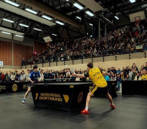 巴列罗得奥,尼斯沃支持,德甲赛场展,皇冠体育,皇冠体育官网,皇冠体育官网玩家首选