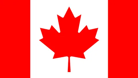 “汉密尔顿转战法拉利，引燃车迷讨论热潮”