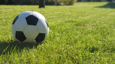 78元门票开抢！青岛海牛对阵大连英博，本土教练对抗备受瞩目