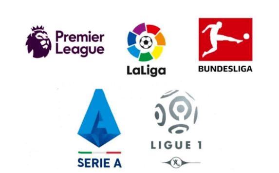 新插上了翅 新插上了翅